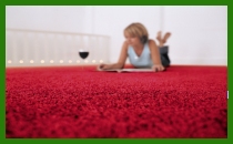 About Dragon Carpets and Flooring